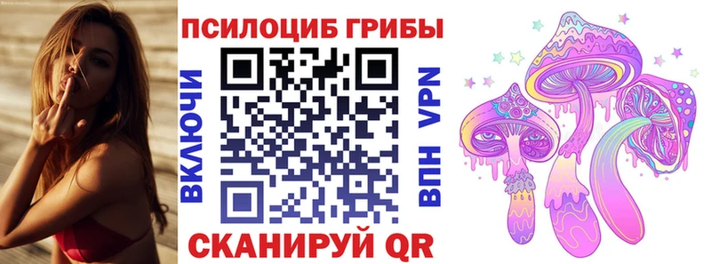 Псилоцибиновые грибы Psilocybine cubensis  Купить  Жиздра 