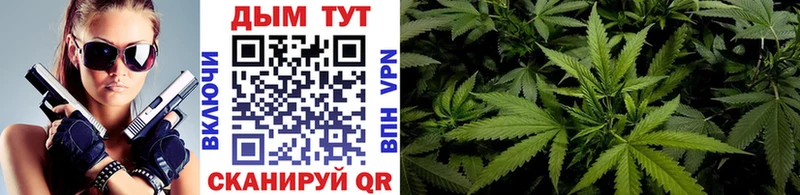 Купить закладки  Жиздра  МАРИХУАНА конопля 